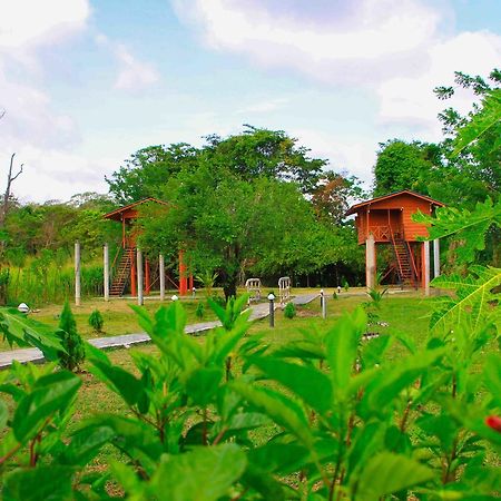 Sigiri Royal Point Tree House Hotel Szigirija Kültér fotó