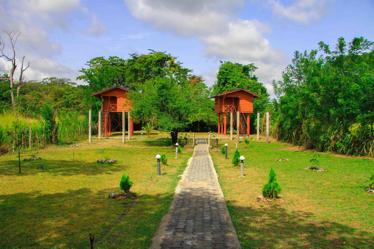 Sigiri Royal Point Tree House Hotel Szigirija Kültér fotó