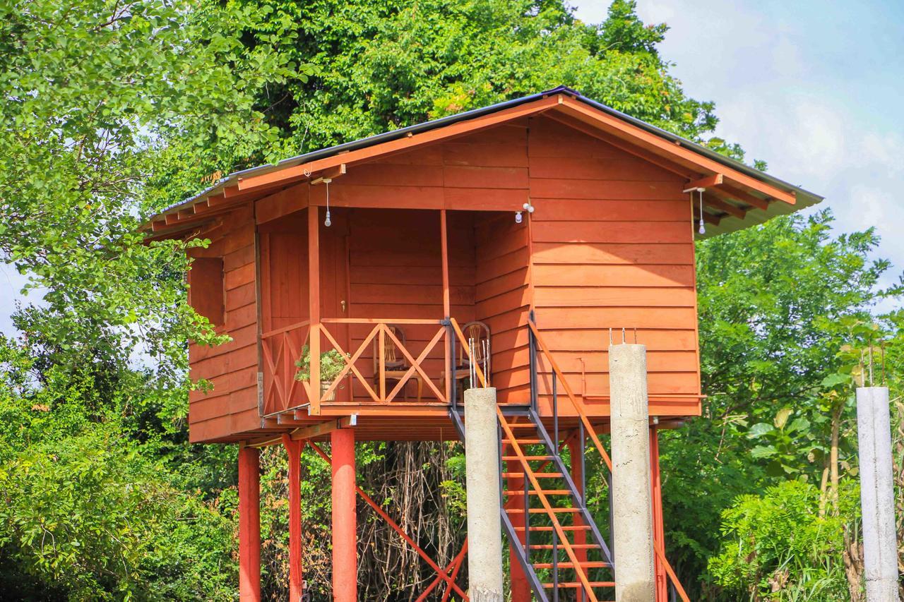 Sigiri Royal Point Tree House Hotel Szigirija Kültér fotó