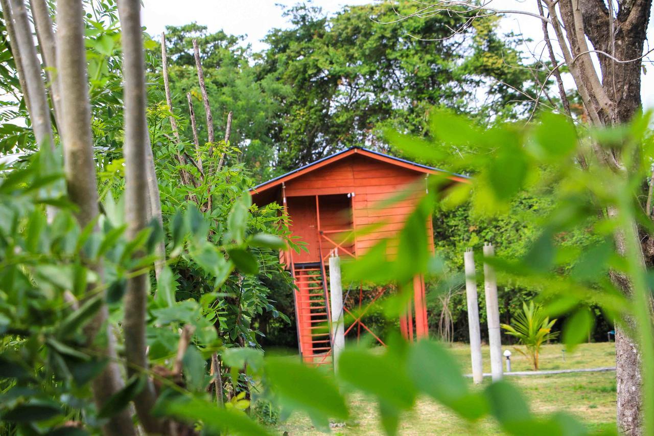 Sigiri Royal Point Tree House Hotel Szigirija Kültér fotó