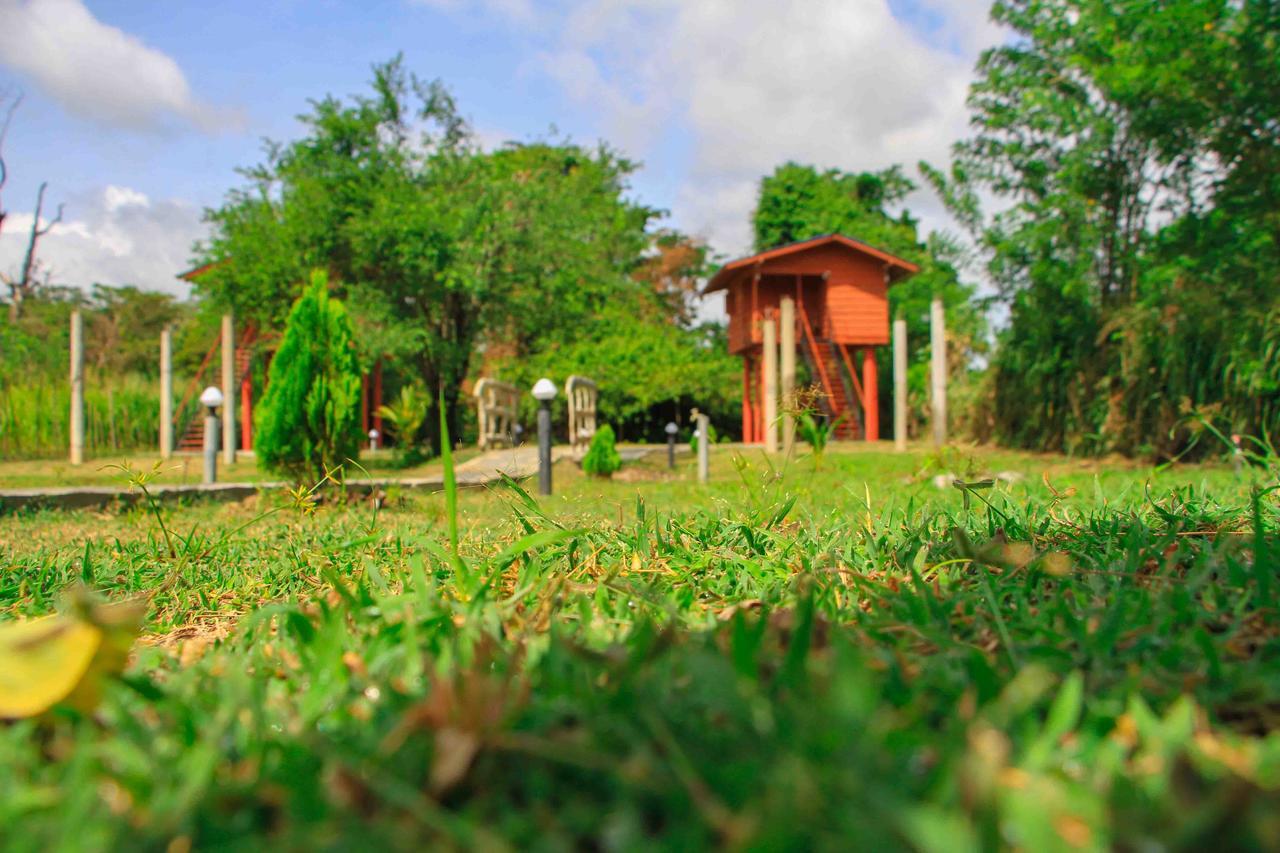 Sigiri Royal Point Tree House Hotel Szigirija Kültér fotó